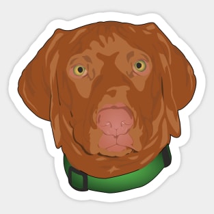 Best Friend (red hue) Sticker